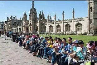 吃瓜老外轮船,一场跨国文化交流的奇妙之旅  第1张